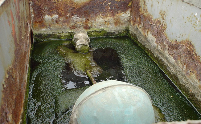 ˮ����ˮ��������ˮ����ϴ